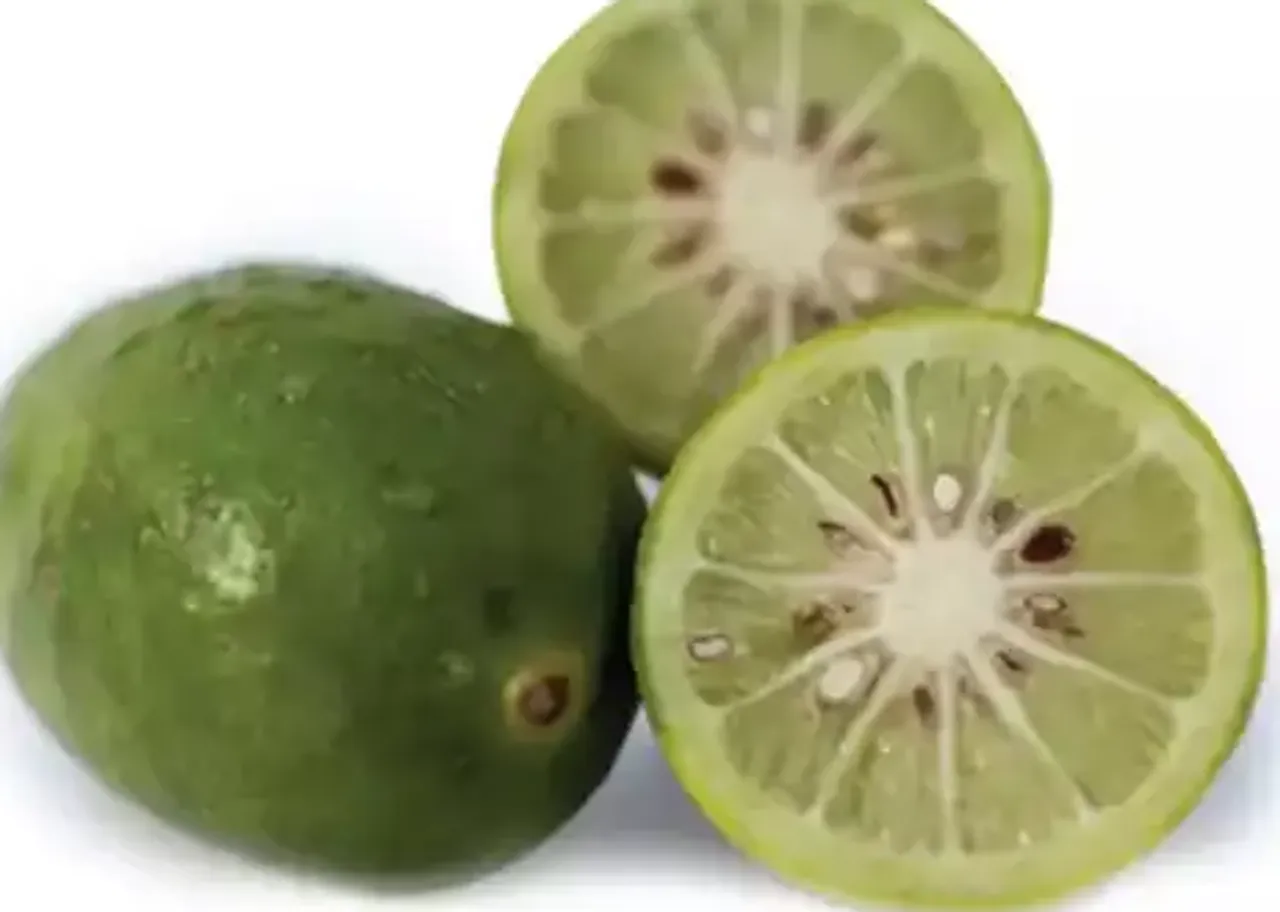 kafir lime