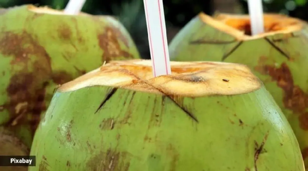 Tender Coconut