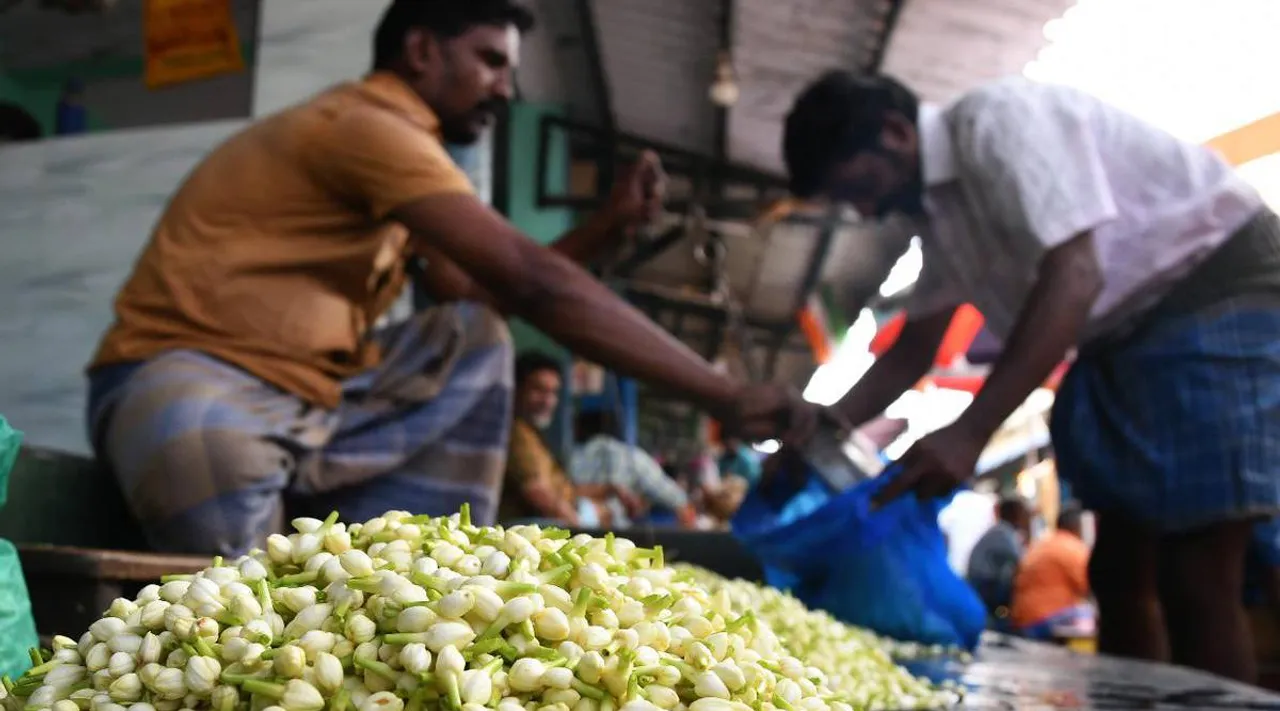 Madurai Malli