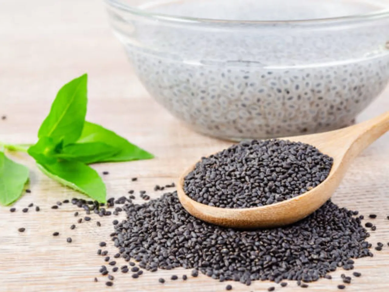 hoary basil seed