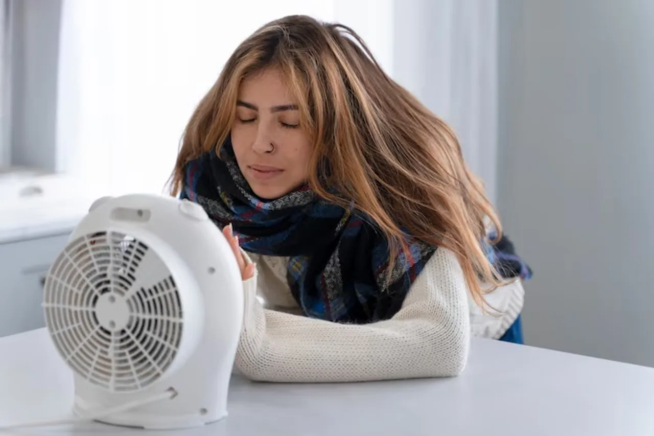 Air cooler fan