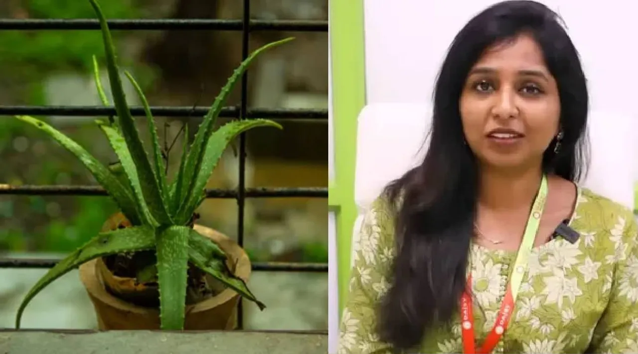 Aloe vera uses