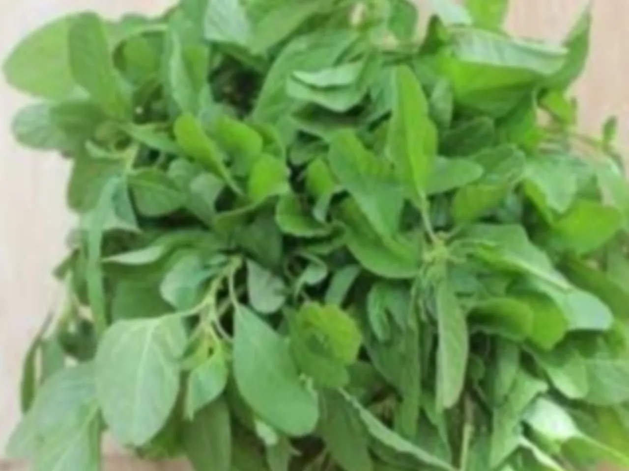 siru keerai