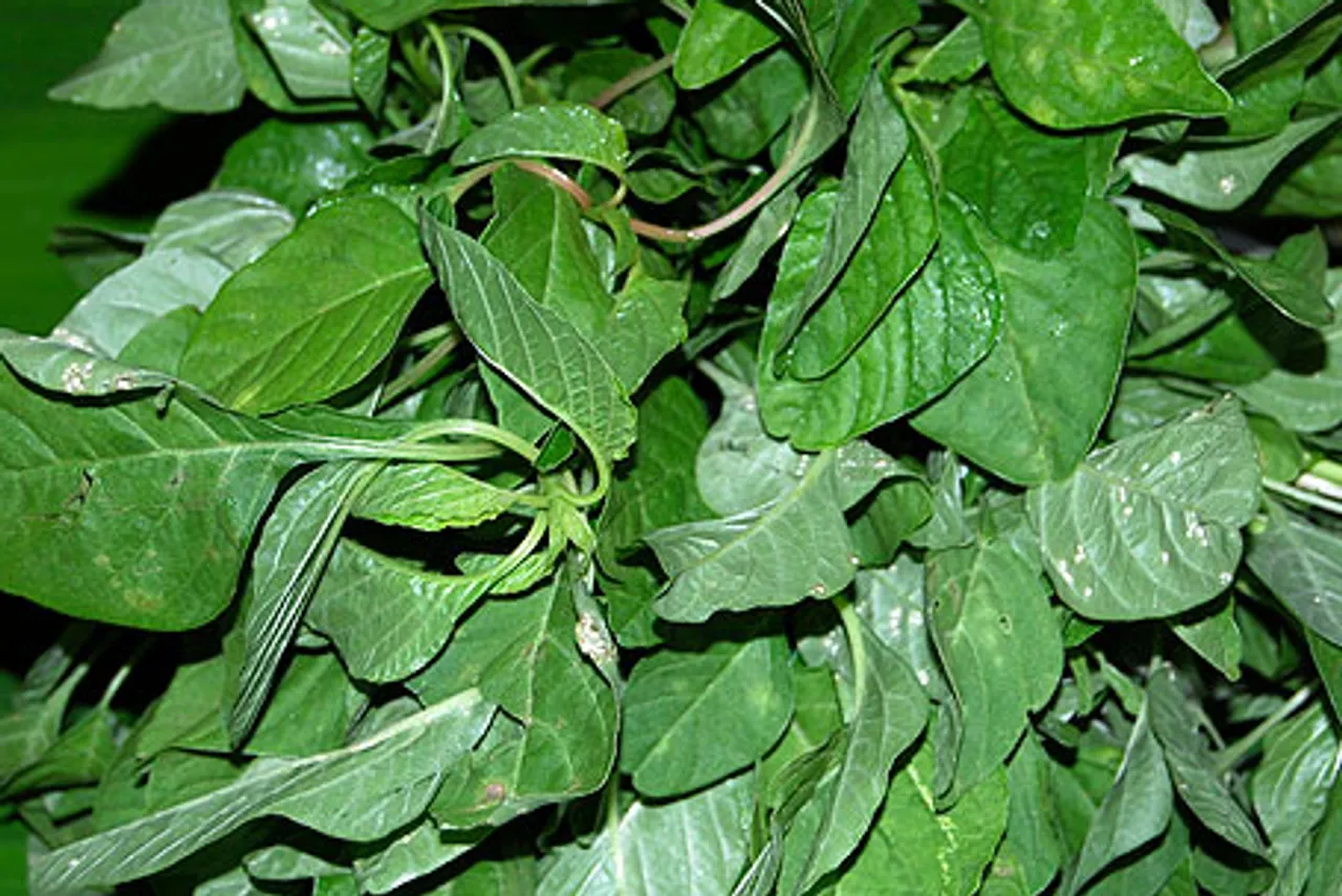 siru keerai