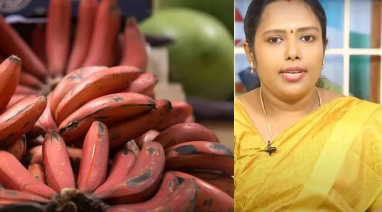 Uses of Red Banana