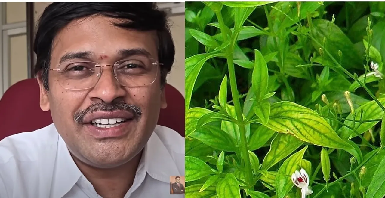 Nilavembu health benefits
