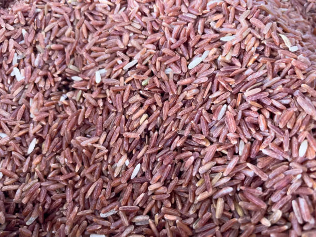 red rice
