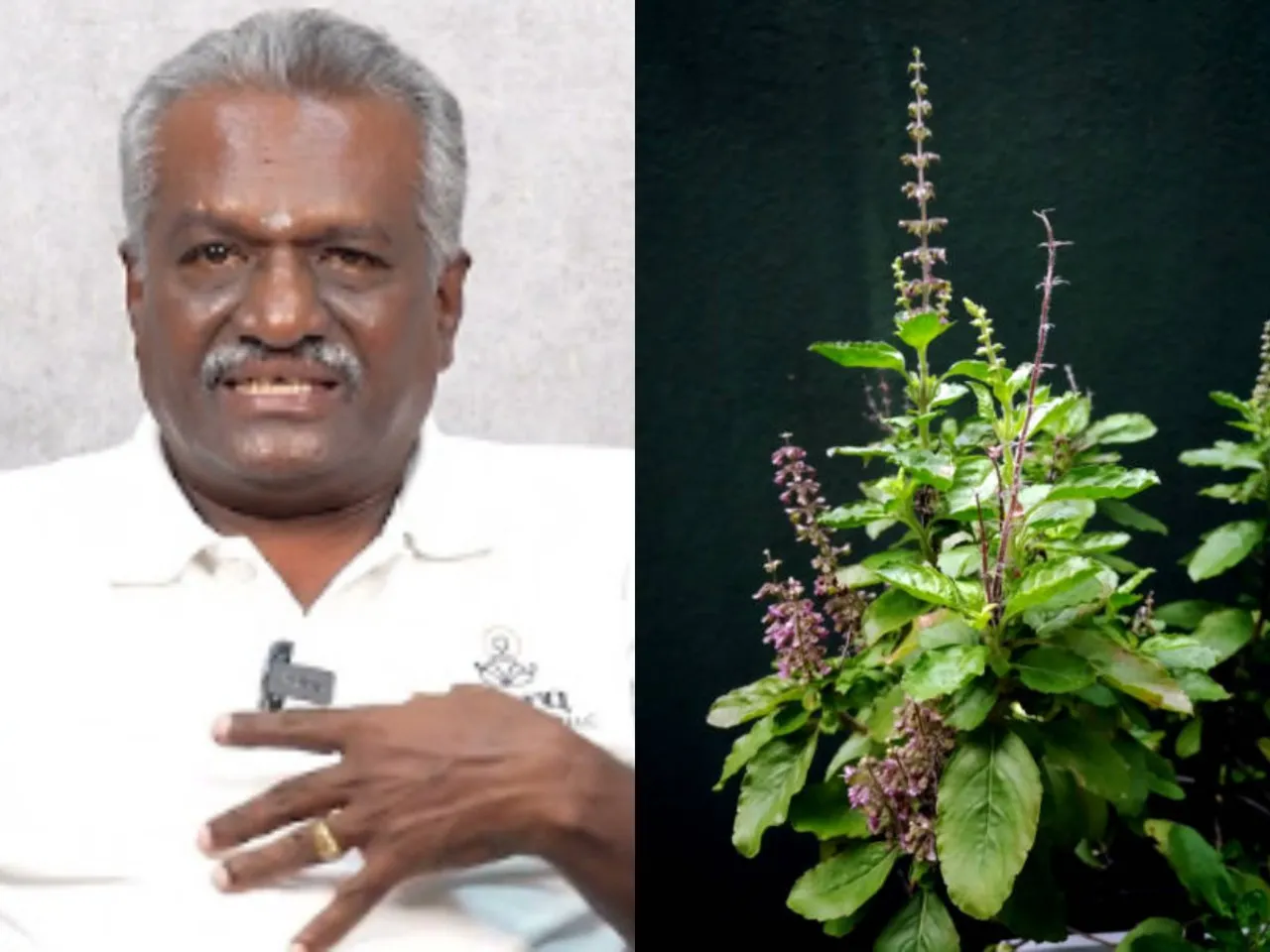 Dr subramanian nachiappan