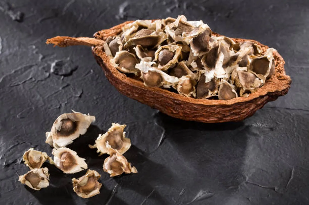 moringa seed
