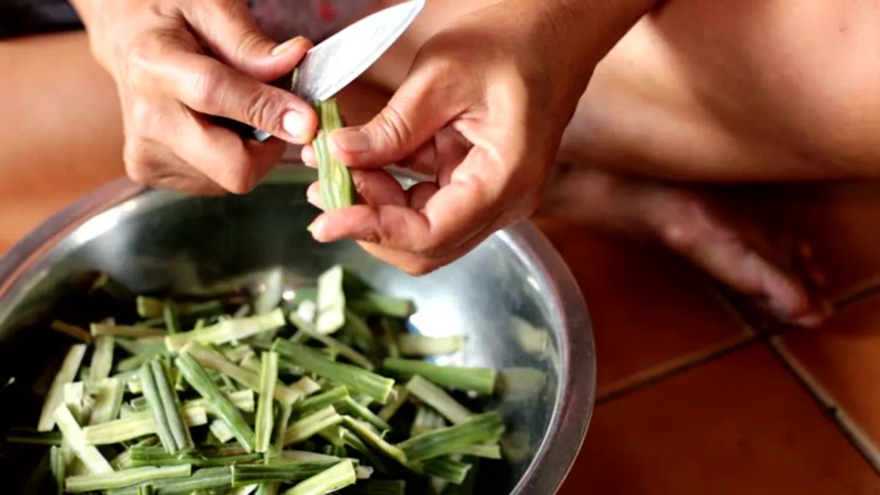 moringa seed