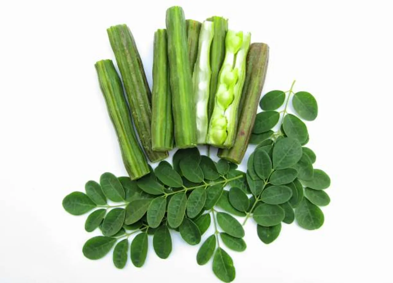 moringa seed
