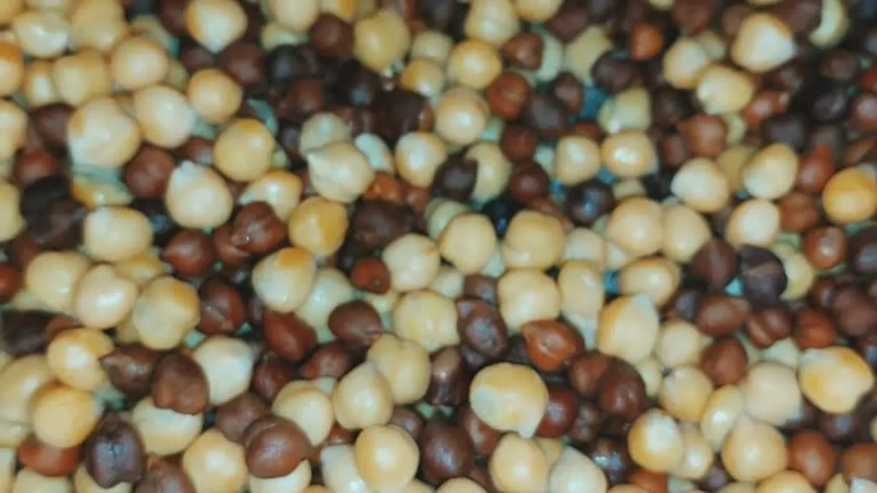 white chickpeas