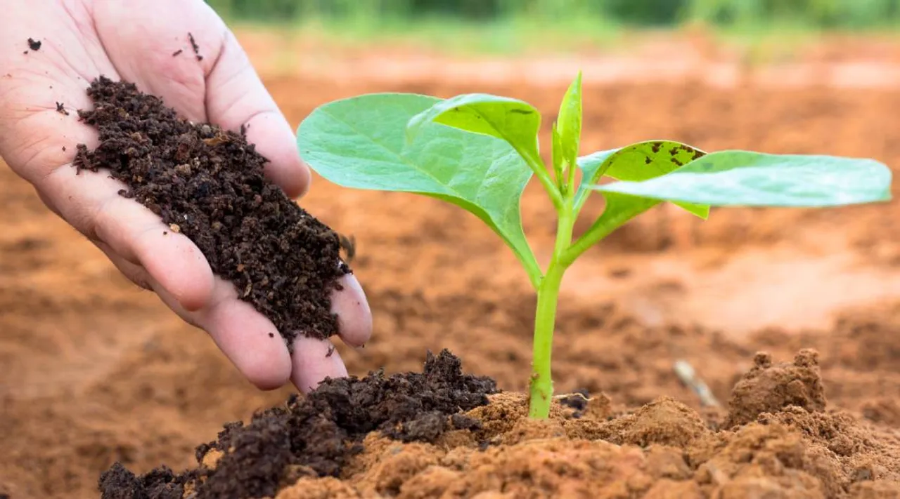  all plants will grow well!
