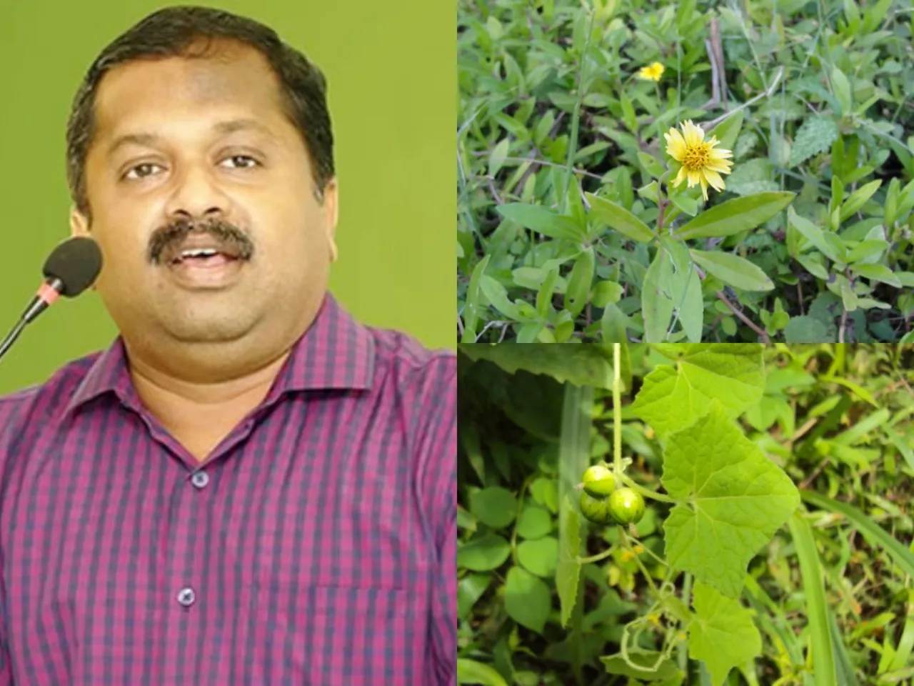 dr sivaraman