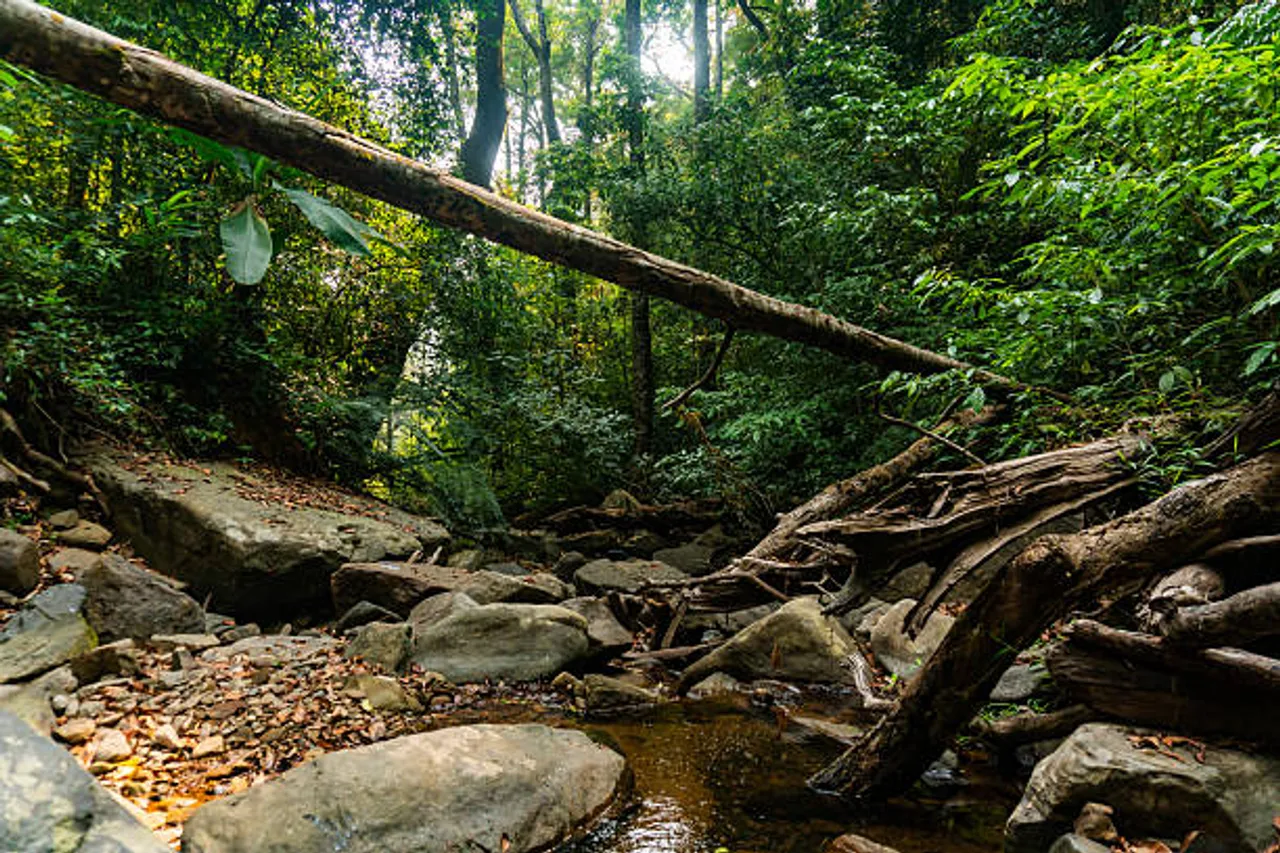 coorg