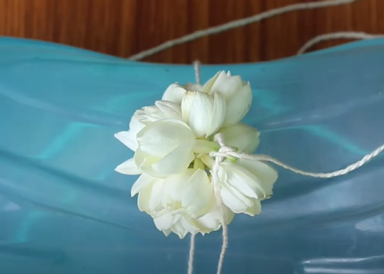 jasmine