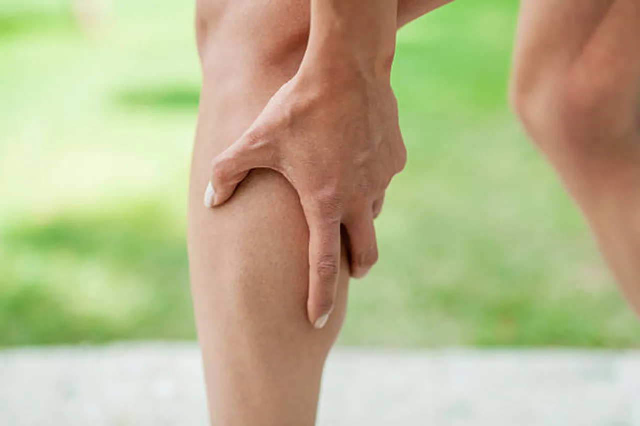 calf muscle