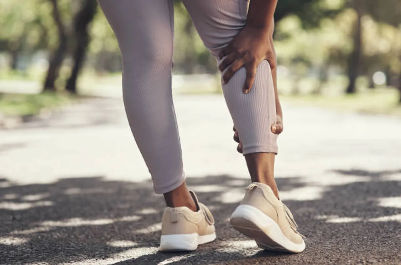 calf  muscle