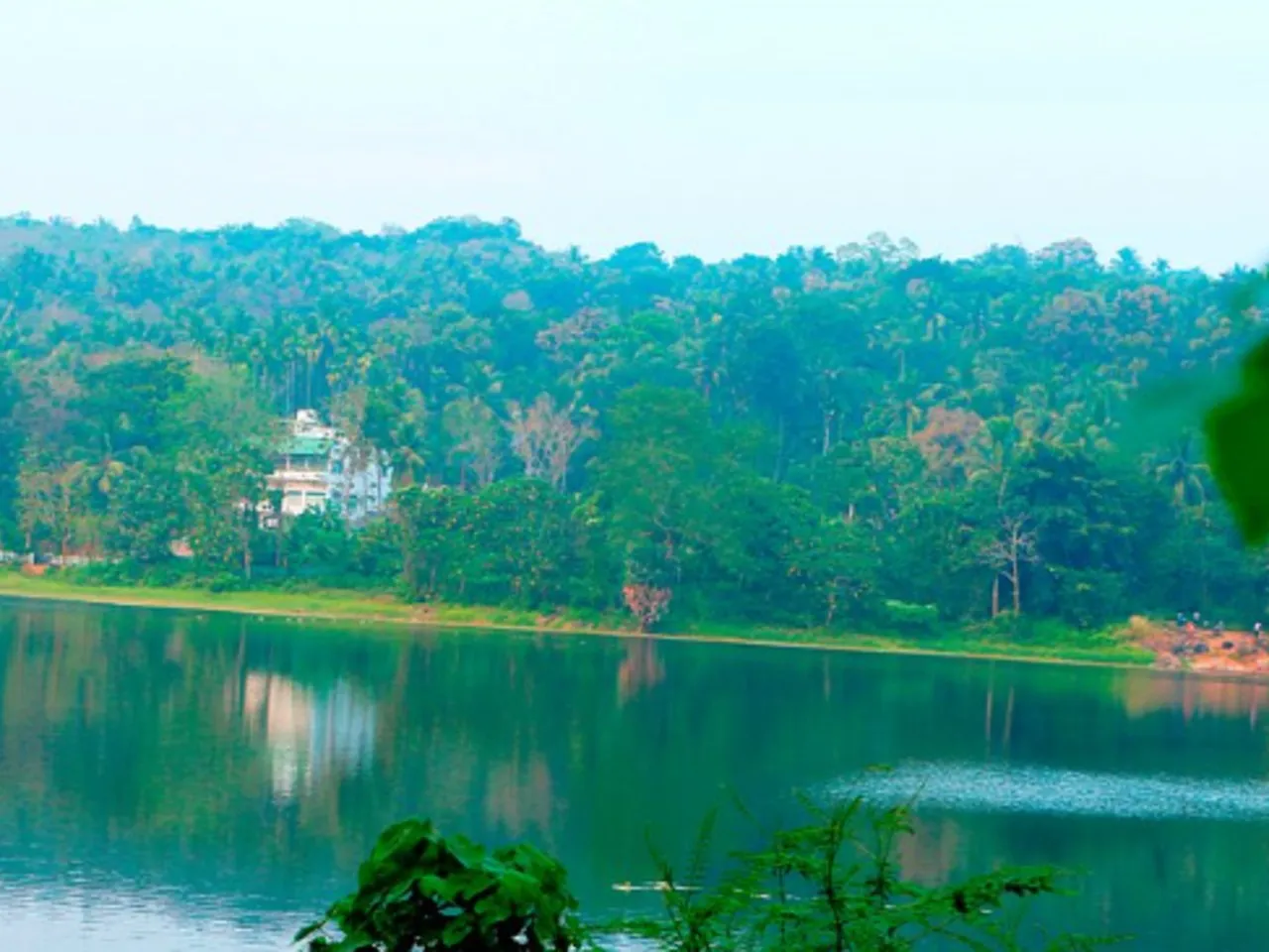 poomala