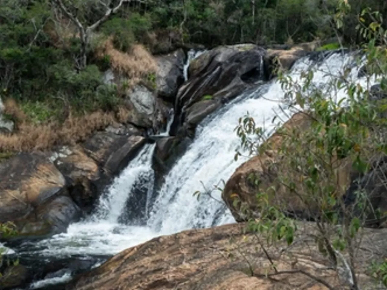 pepper falls