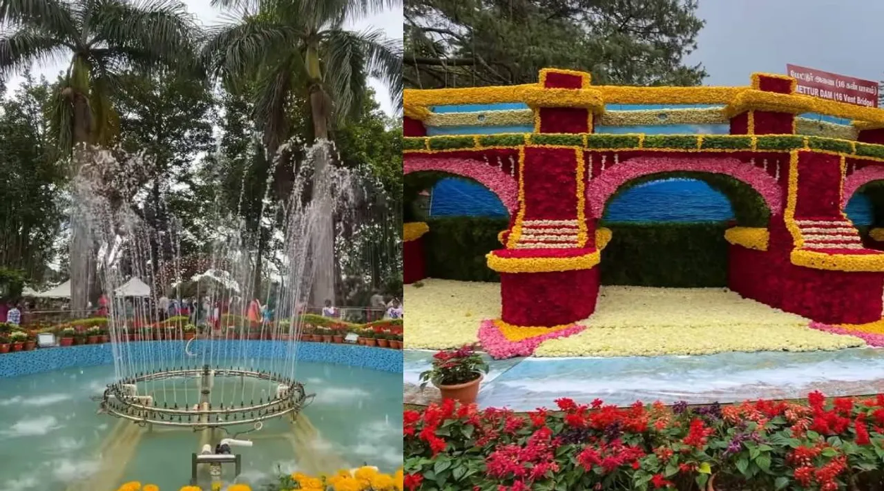 yercaud flower show
