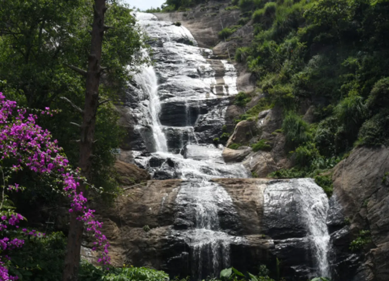 pepper falls