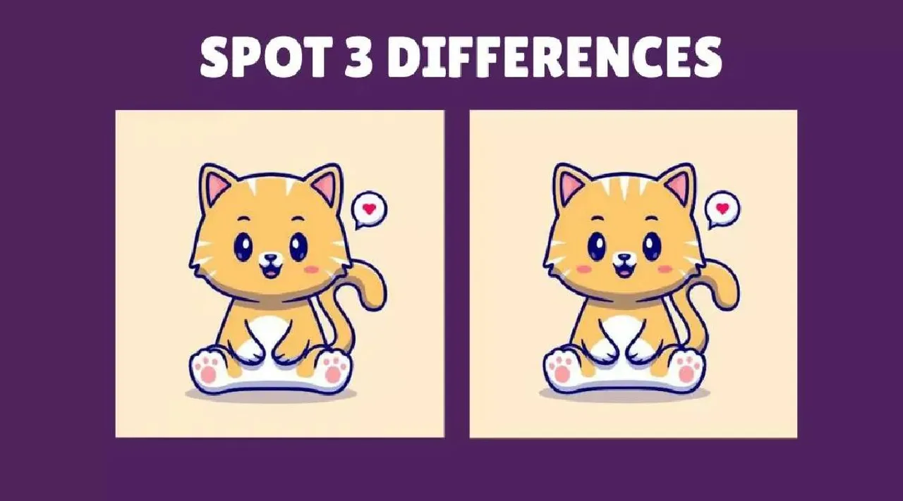 Kitten 1