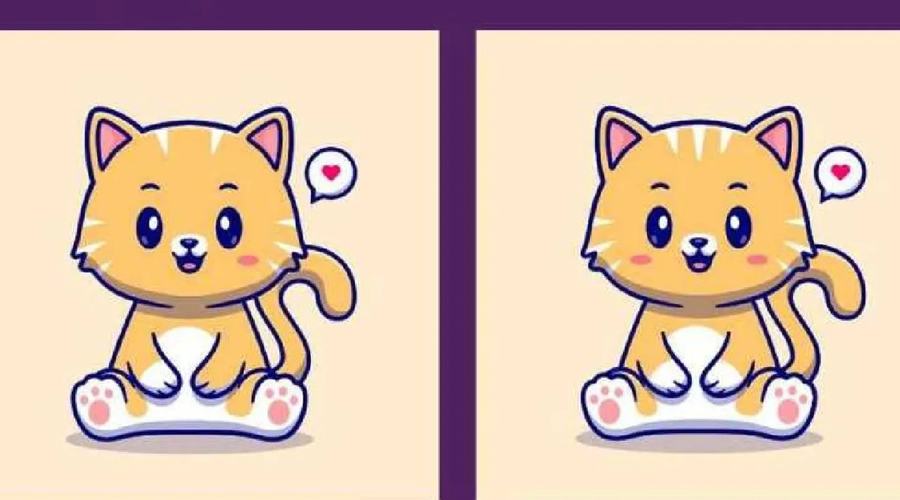 Kitten 2