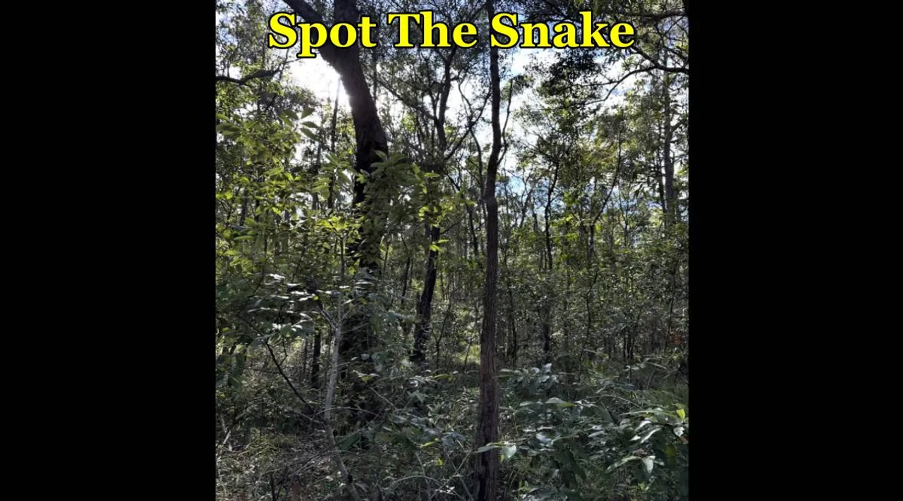snake