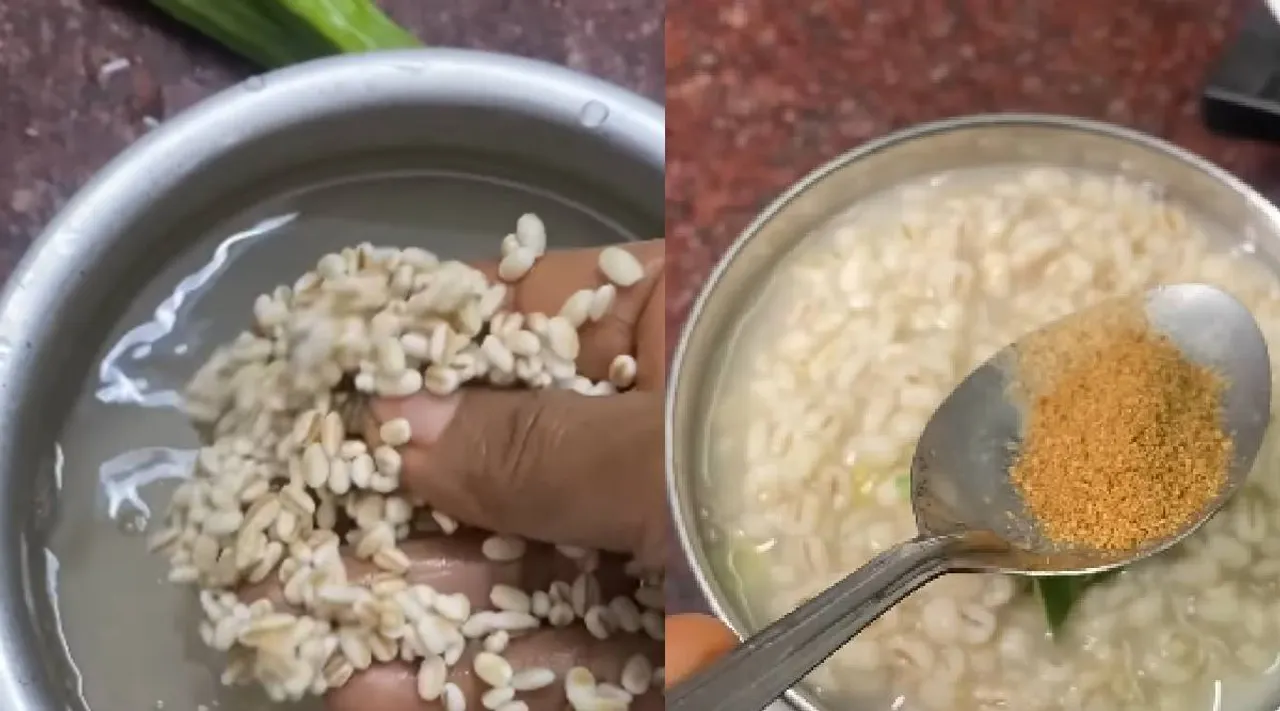 Barley Moringa