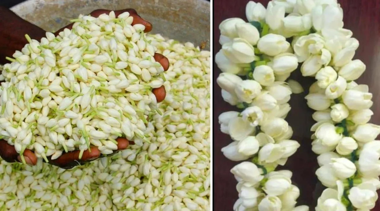 How to String Jasmine Flowers