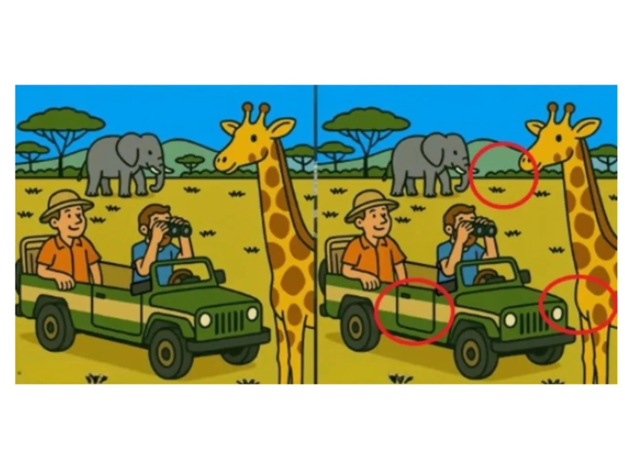 optical illusion