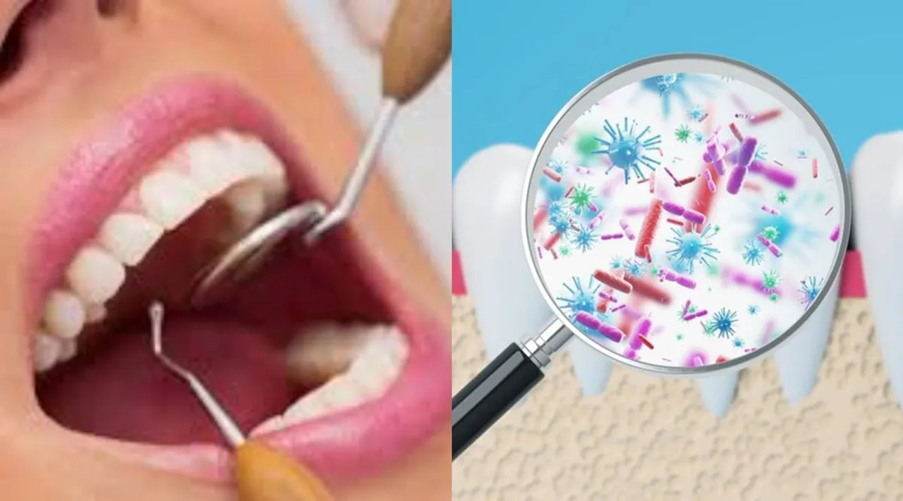 tooth