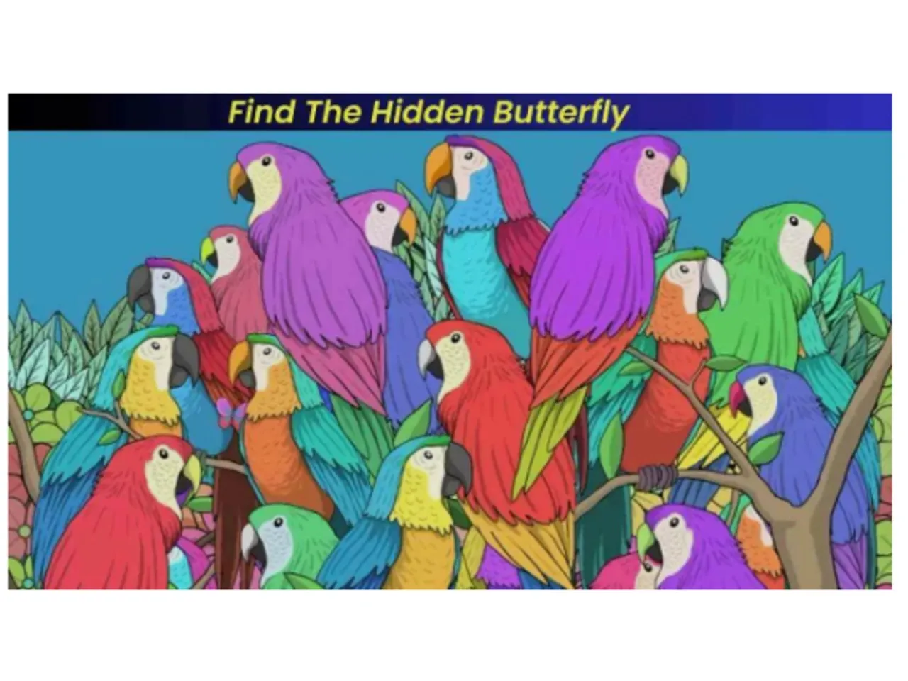 optical illusion