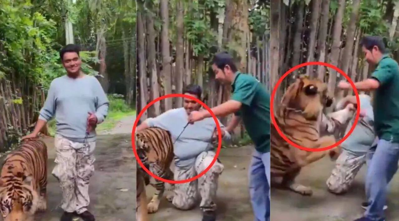 selfie-with-a-tiger