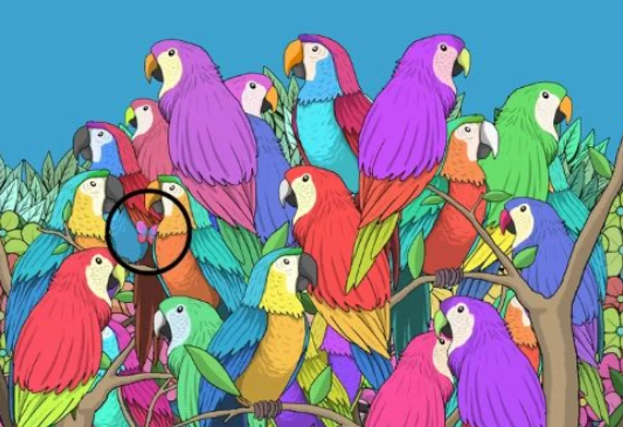 optical illusion