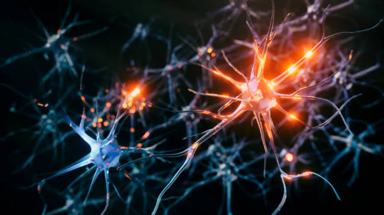 brain health