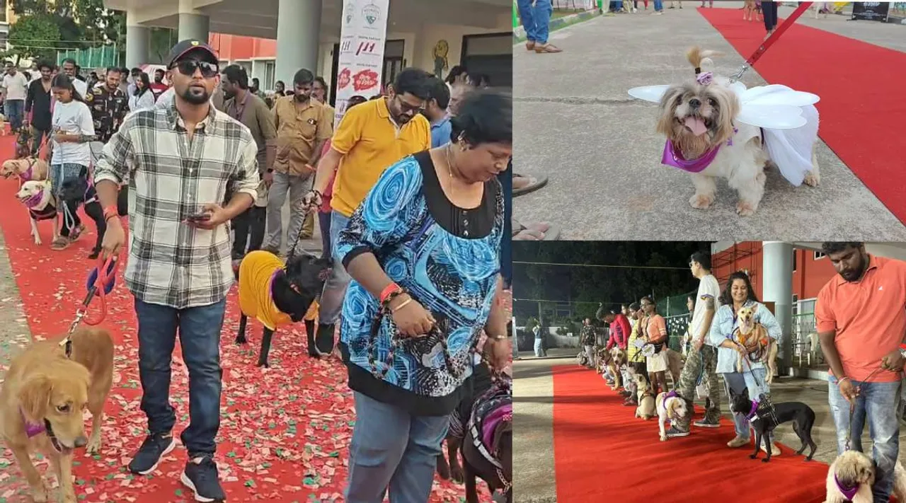  walkathan event