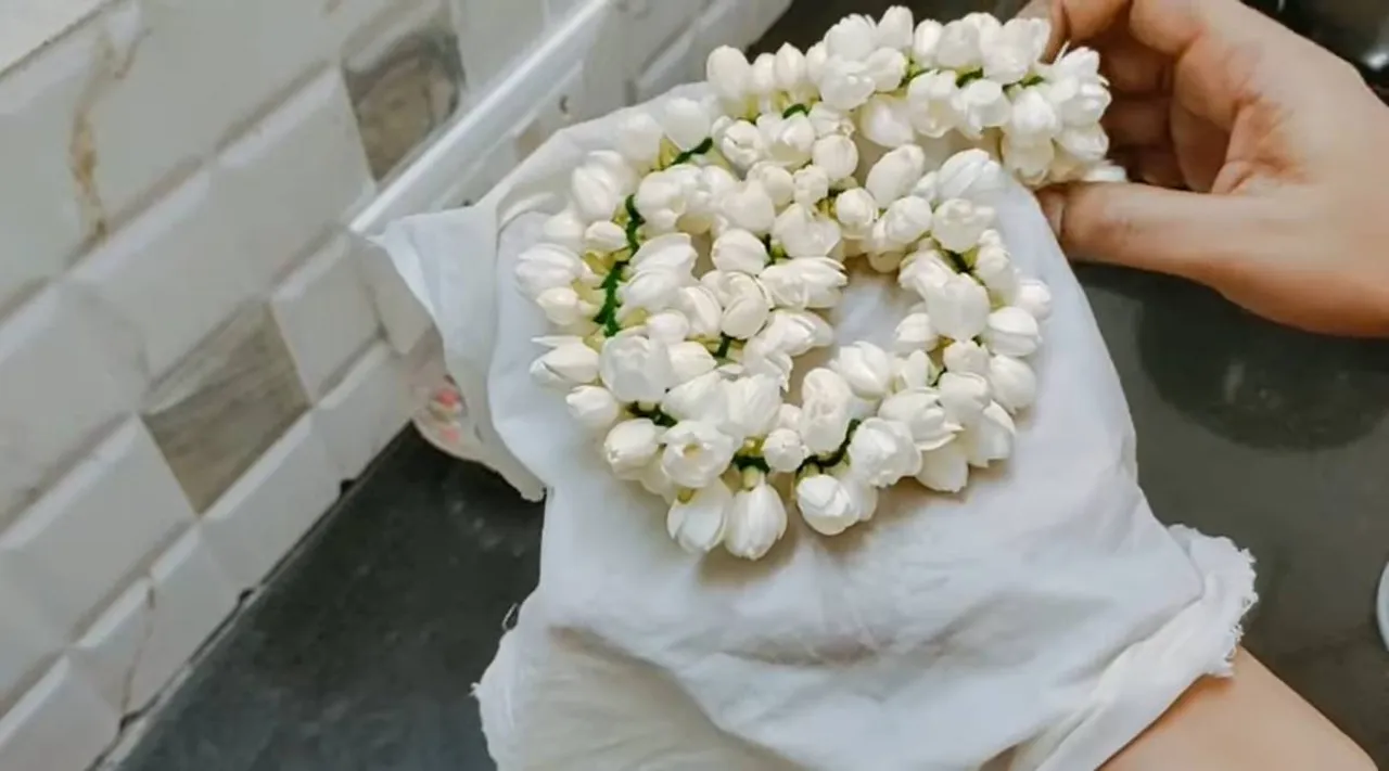 jasmine