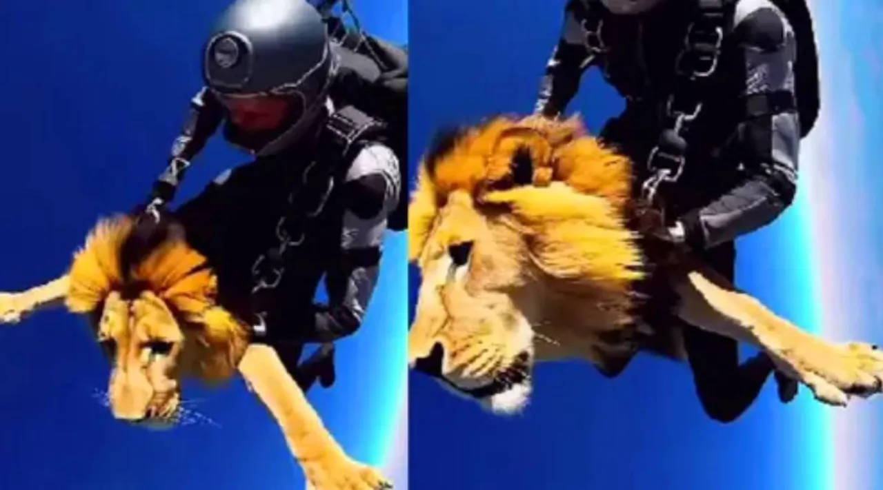 Sky Diving iion