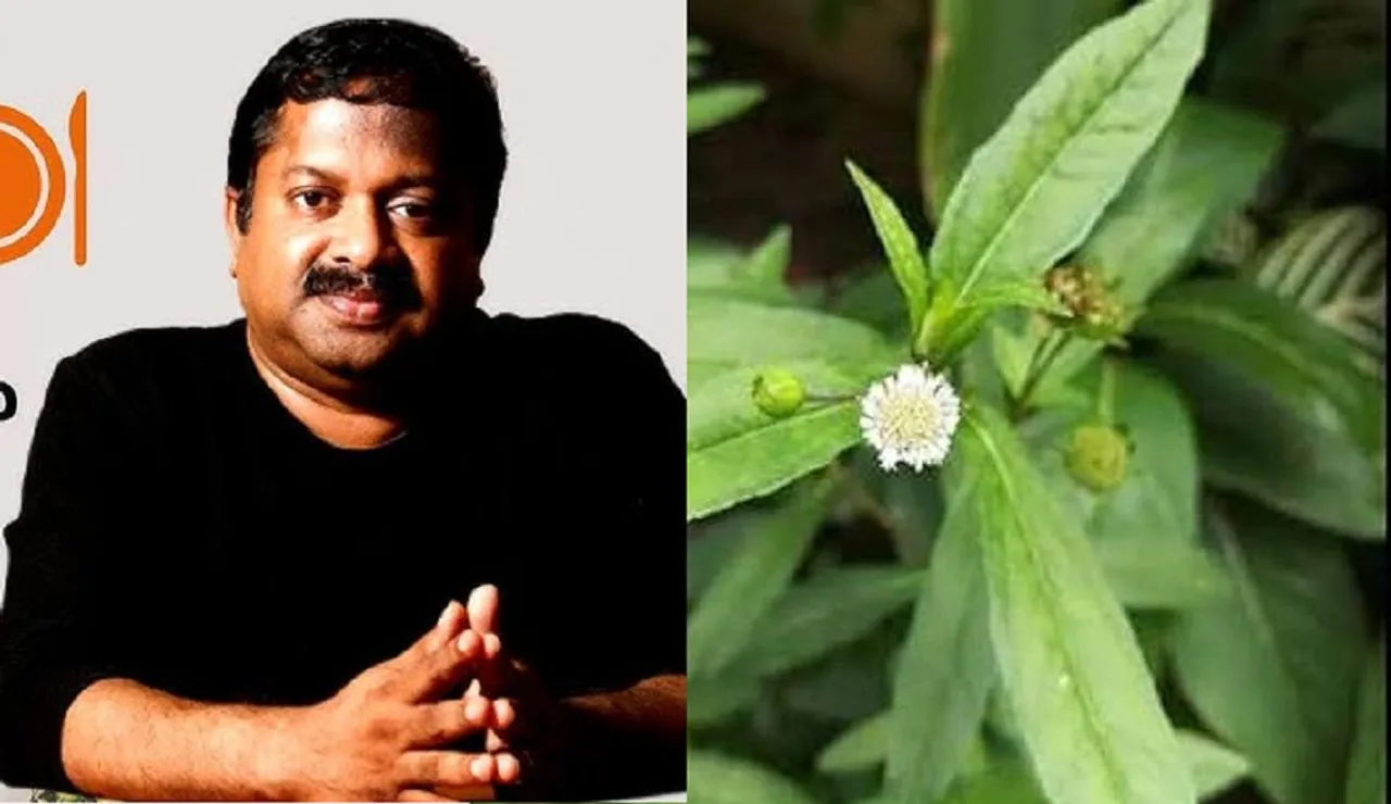 Hair fall Natural remedy