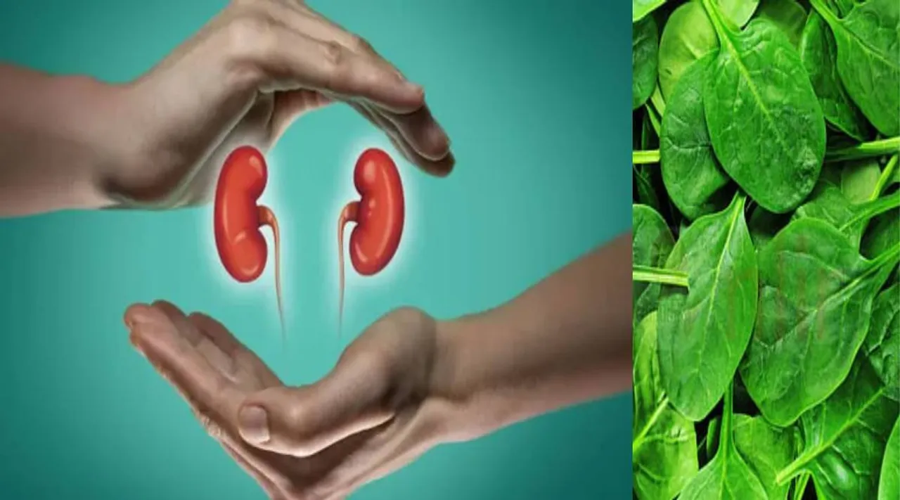 kidney health