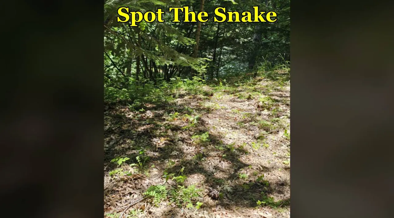 spt