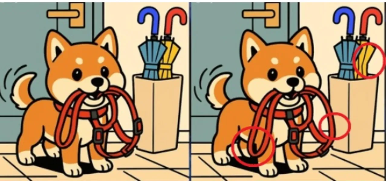 optical illusion