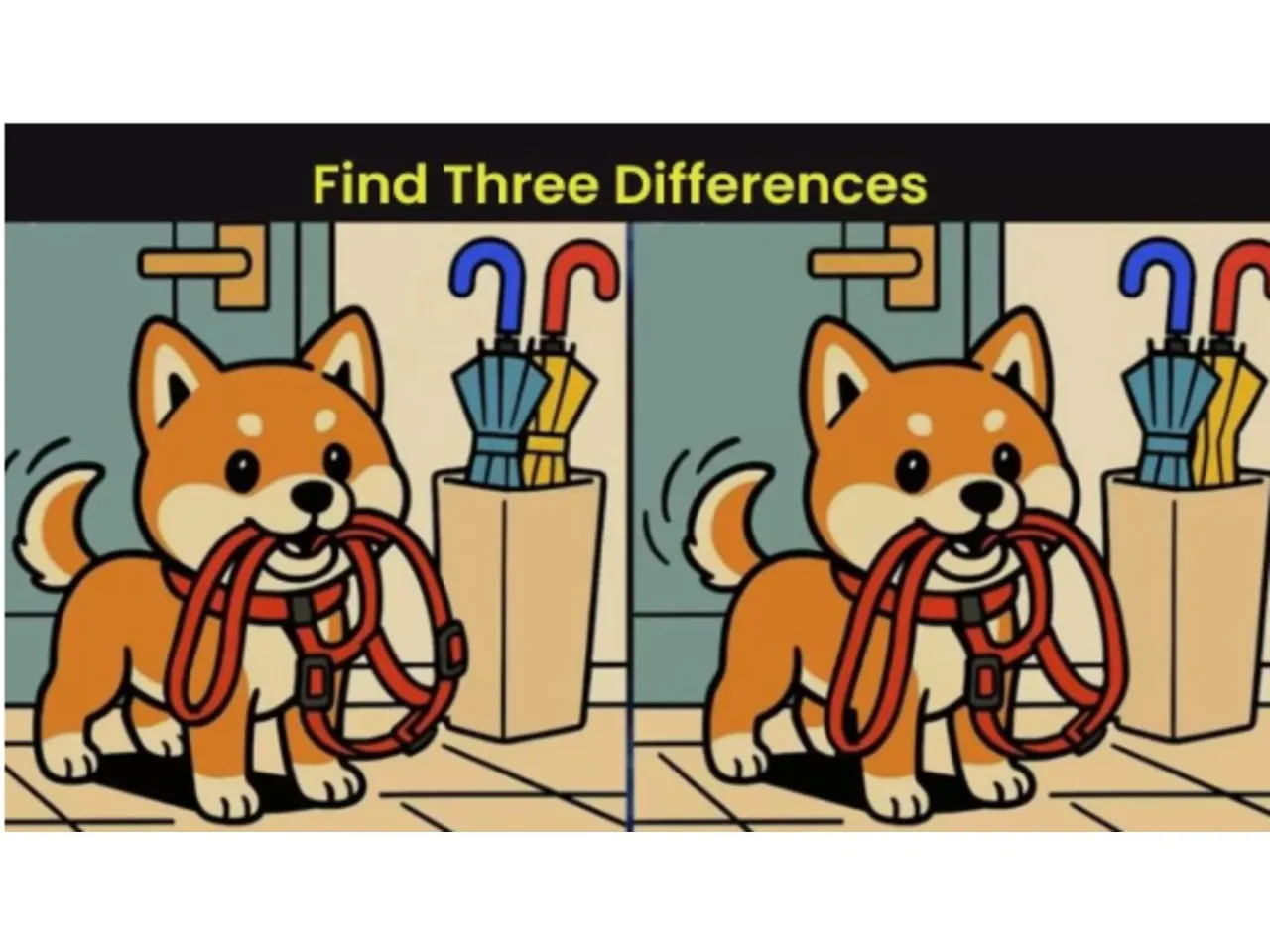 optical illusion