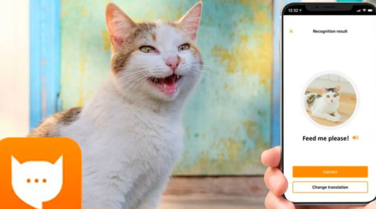 Meow talk