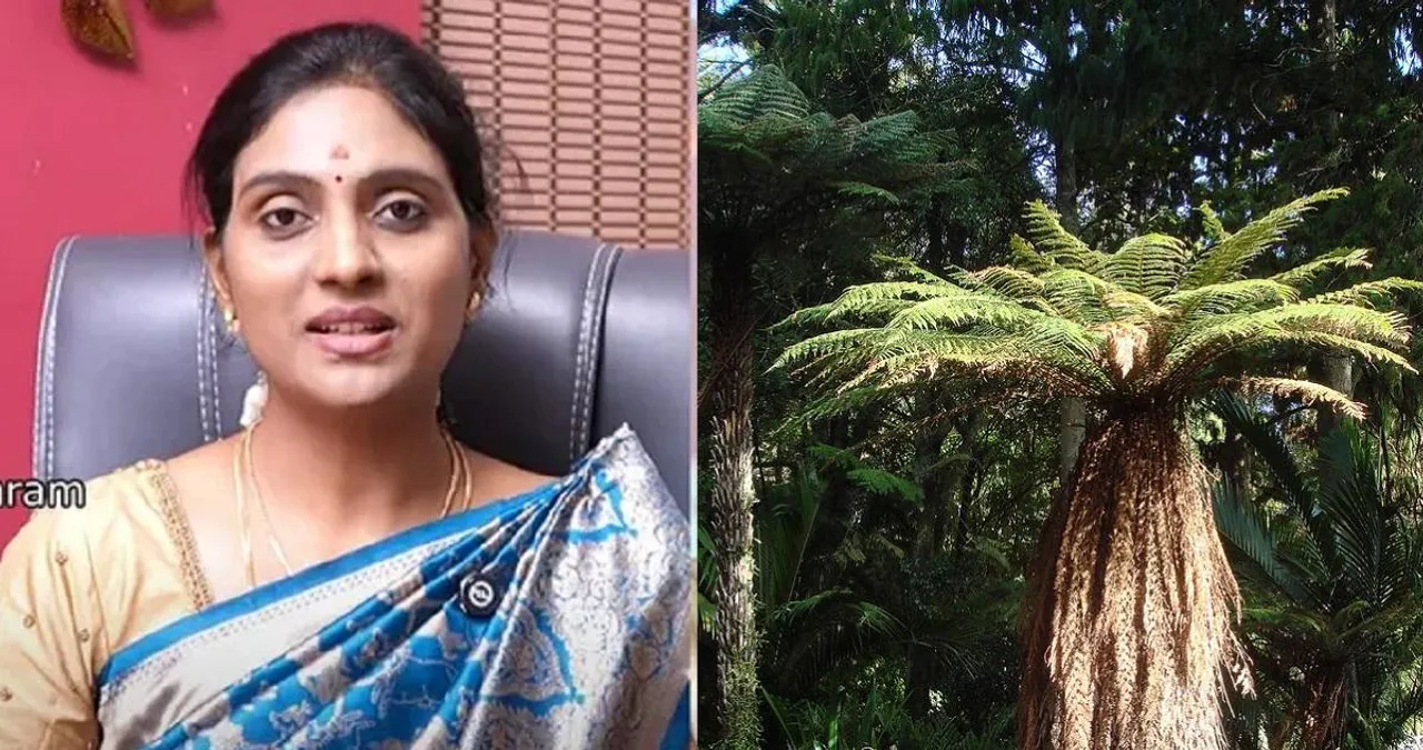 Pungan oil Dr Nithya
