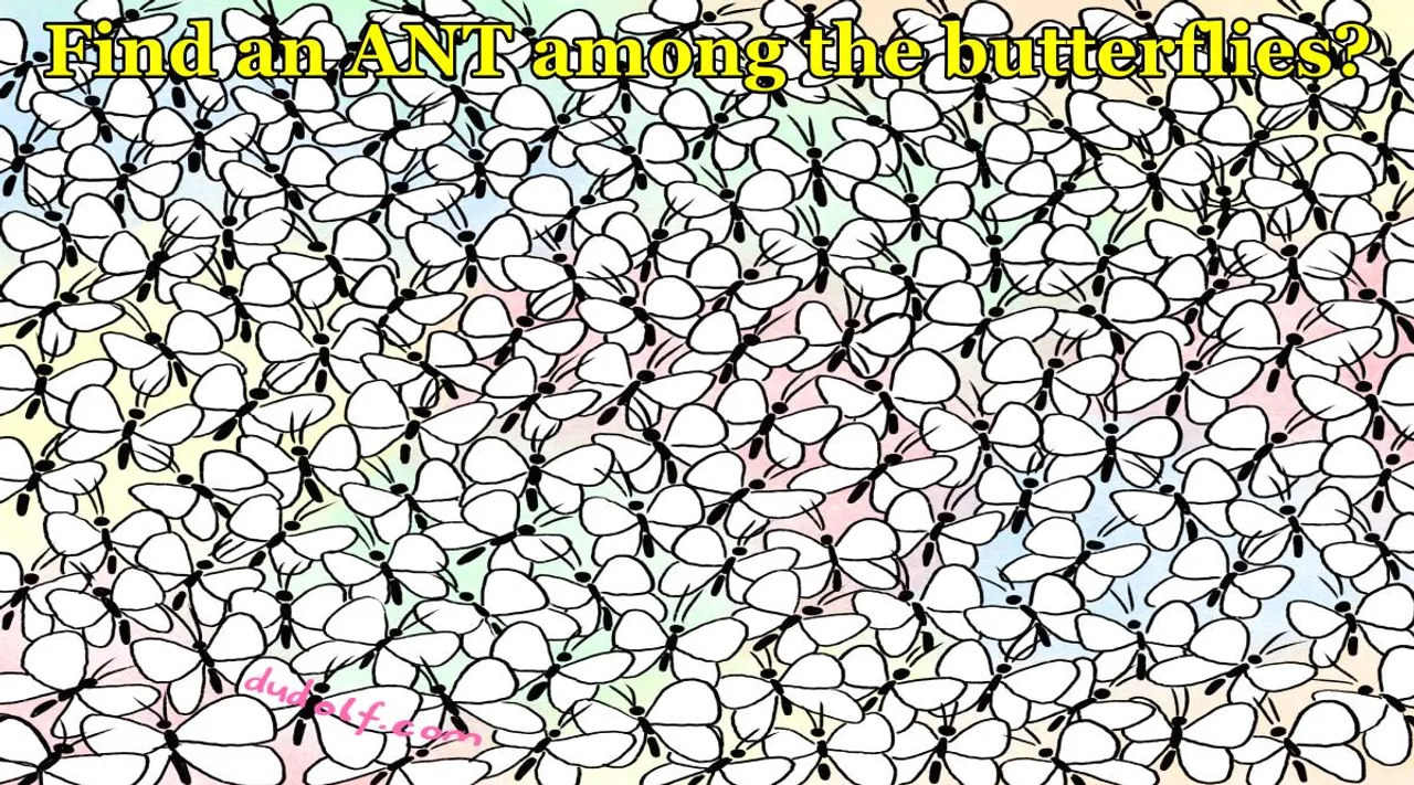Ant 