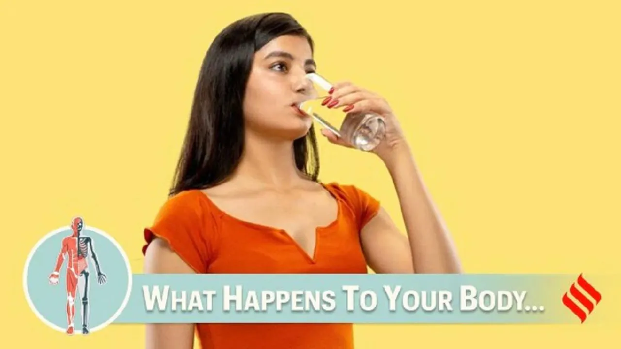 Daily water intake