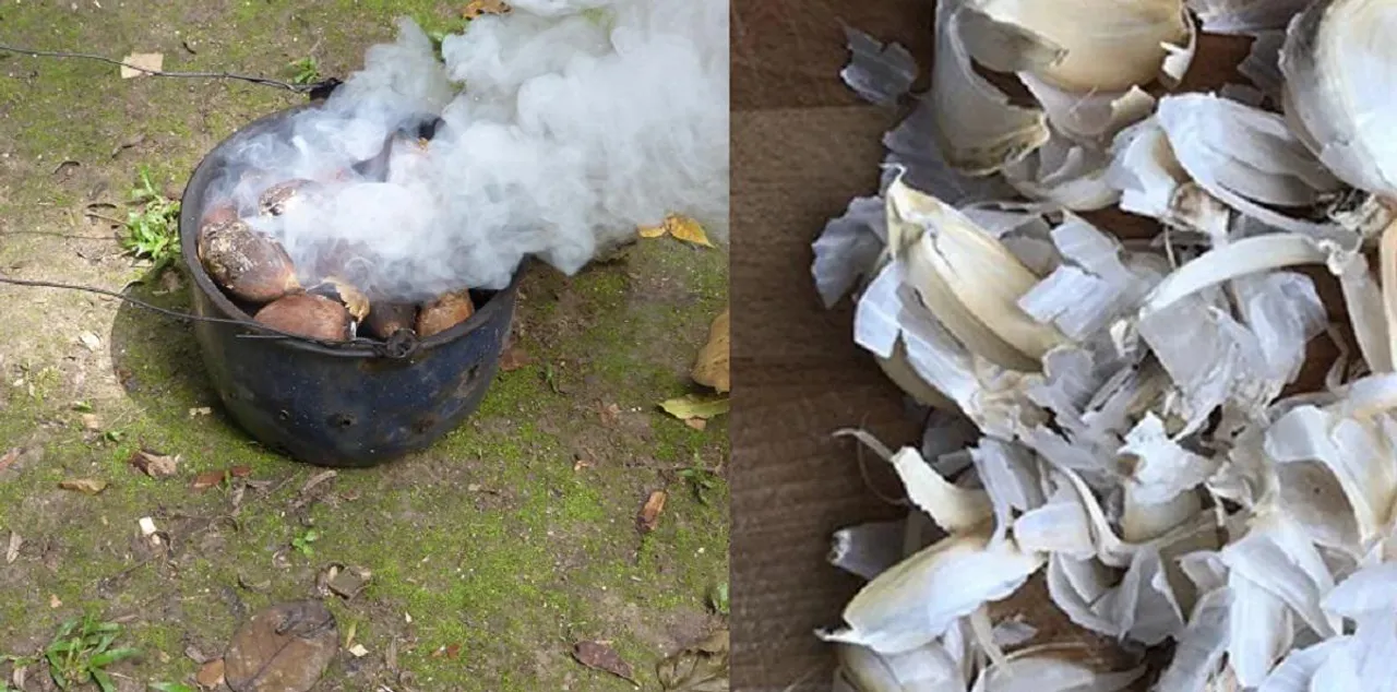 Garlic peel mosquito